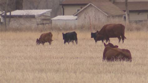 Drought continues to worsen in parts of Colorado